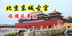 蜜臀av夜夜摸中国北京-东城古宫旅游风景区